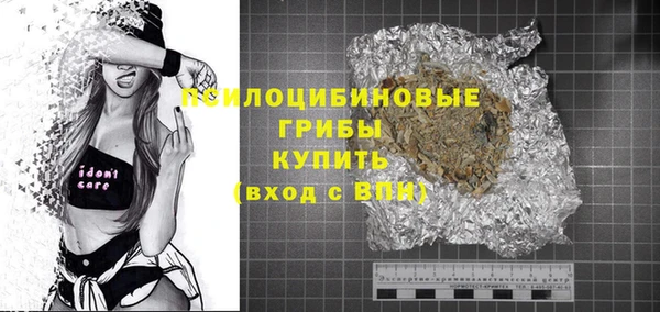 мет Корсаков