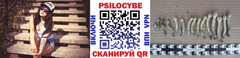 Галлюциногенные грибы Cubensis  Купить где  Москва 